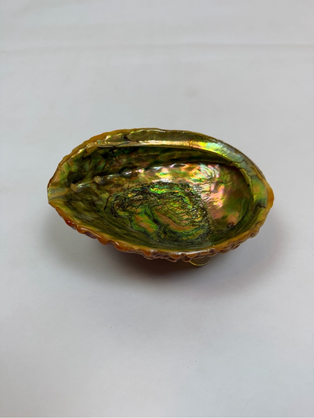 Vintage Abalone Shell Trinket Dish Mother Of Pearl Lucite Feet